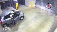 car gif